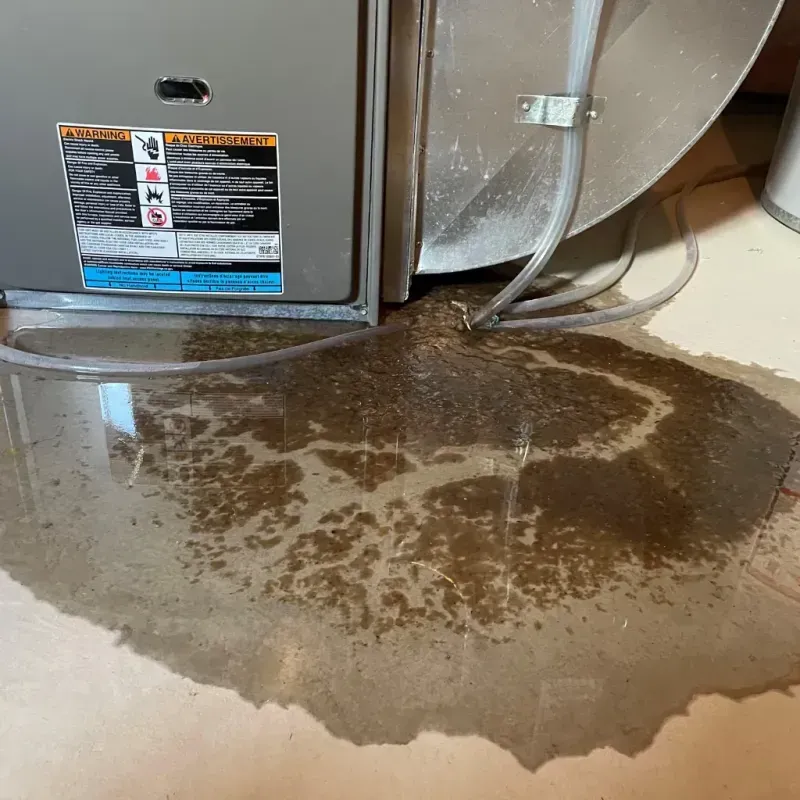 Appliance Leak Cleanup in Eatonville, FL